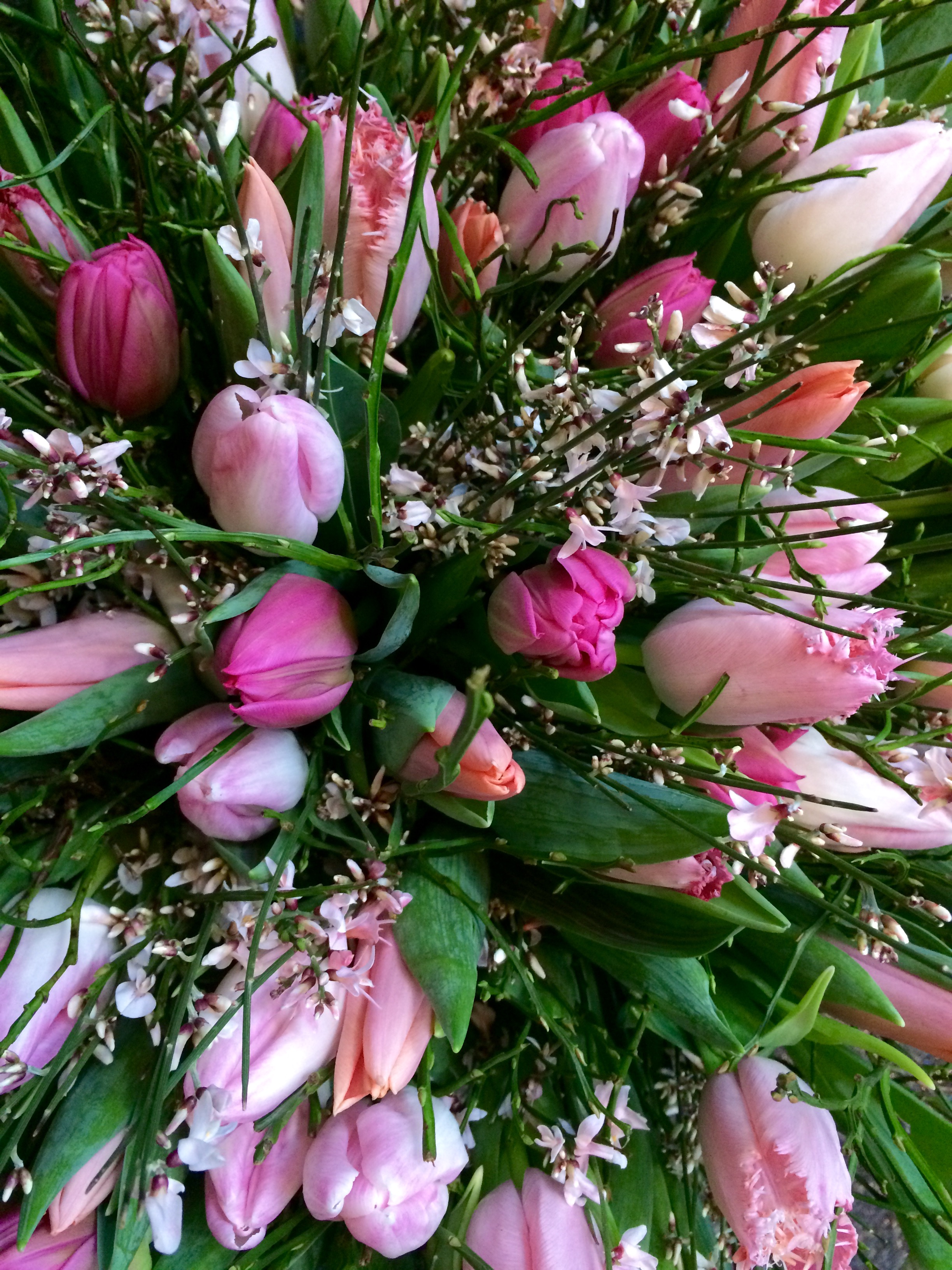 Blumenstrauß mit Tulpen zum Neujahr 2016 in Lippstadt Bad Waldliesborn