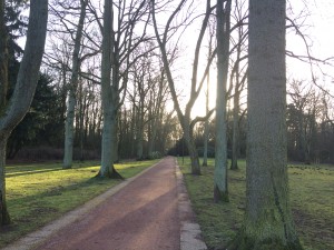 Path in Bad Waldliesborn to go for a walk together