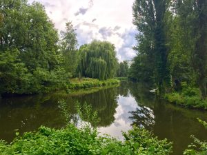 Grüner Winkel Lippstadt Lippe Fluss Wasser
