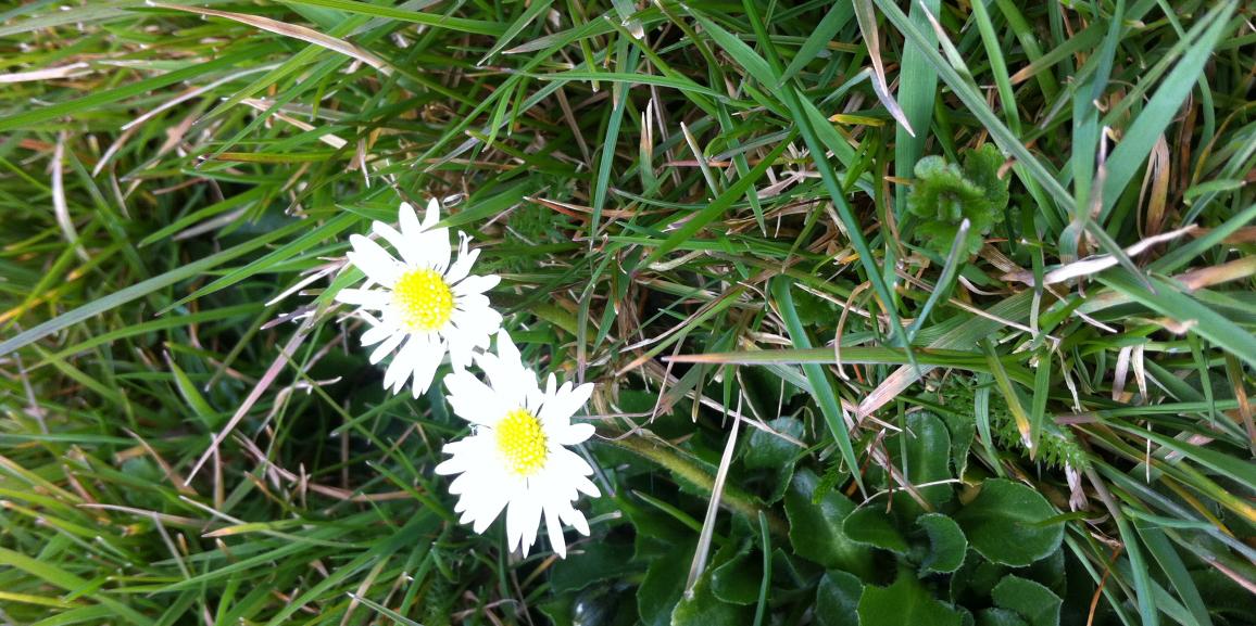 Externsteine Detmold – Naturerlebnis und mystische Sagen