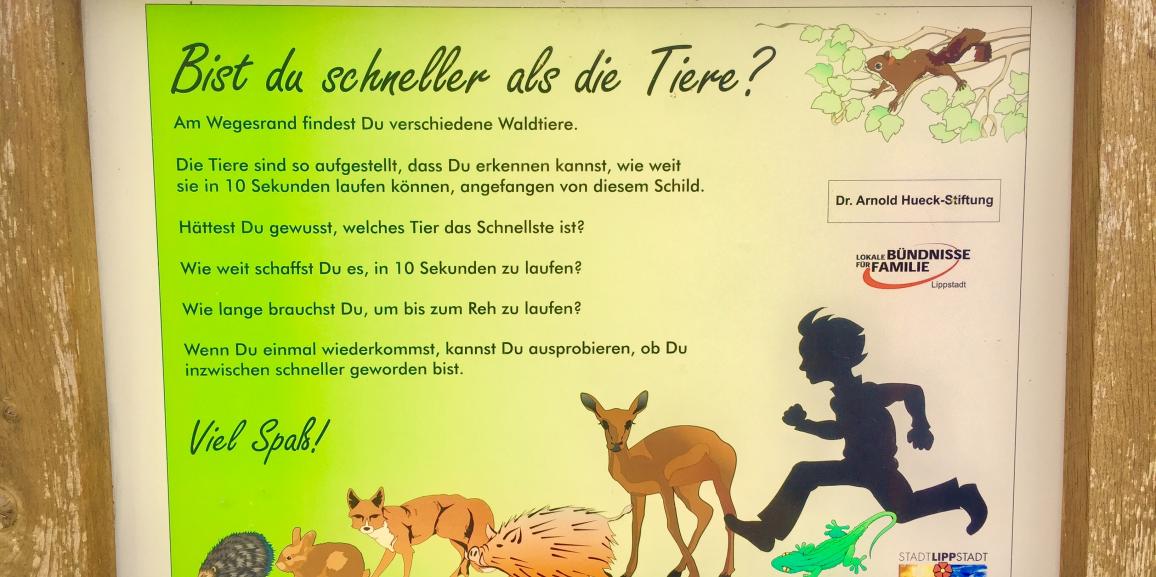 Wettlauf mit den Tieren – Laufweg Grüner Winkel