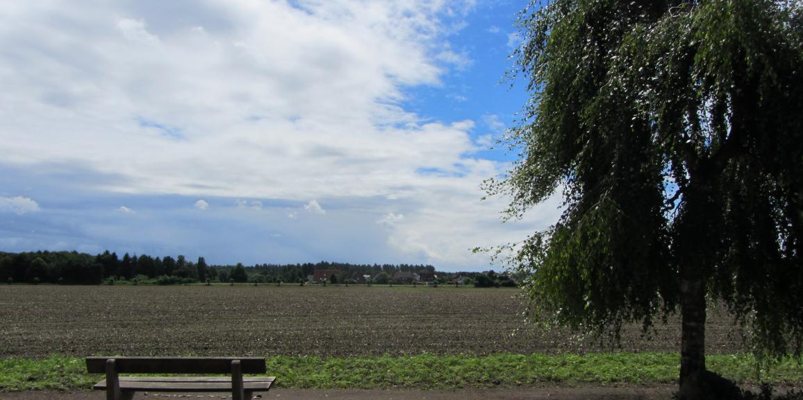 Erholungsurlaub Bad Waldliesborn im Haus Stallmeister
