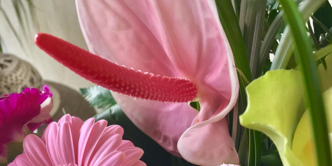 Kultur in Lippstadt! – Veranstaltungen Februar 2018
